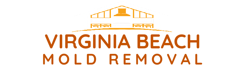 Virginia Beach Mold Removal - Mold Remediation